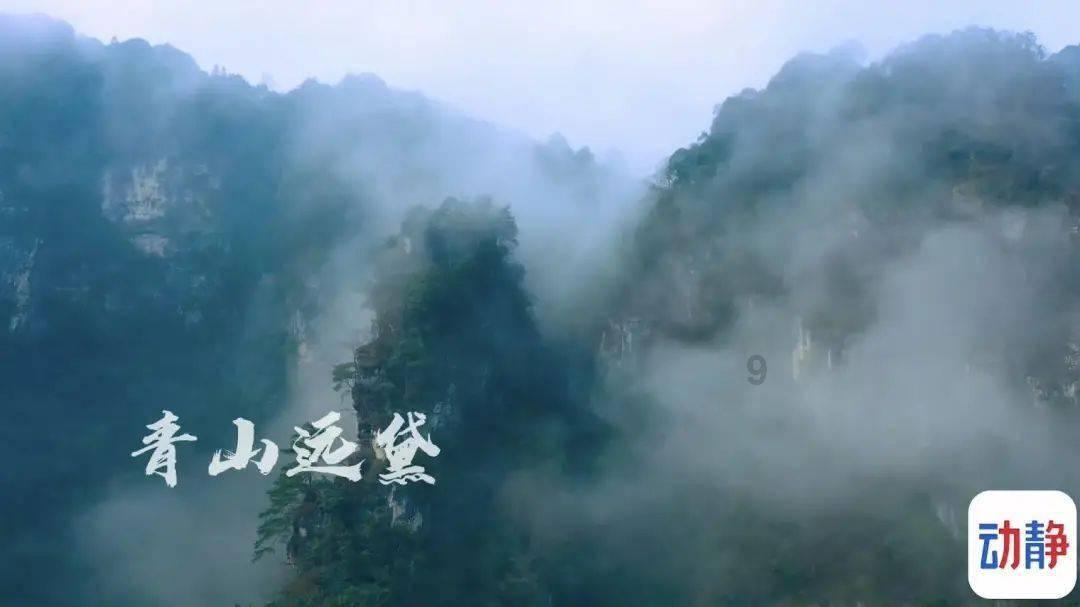 寻找丢失的金币